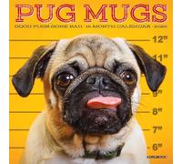 Pug Mugs 2026 Mini Wall Calendar