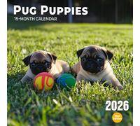 Pug Puppies 2026 Calendar: Wrinkly cuteness and snuggly antics for every month