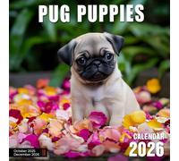 Pug Puppies 2026 Calendar: Wrinkly cuteness and snuggly antics for every month