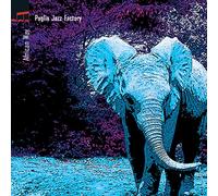Puglia Jazz Factory - African Way