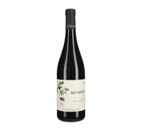 Pugnitello 'Somatico' Podere Il Castellaccio 2022