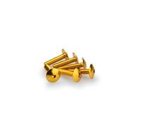 Puig 0689 G blister 6 viti, panciuto, M6, 25 mm, colore: oro