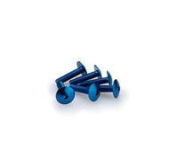 Puig Viti M6 x 25 mm – Blister 6 pezzi – Leggermente blu