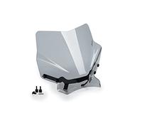 Puig 20505H Cupolino Naked New Generation Sport, Fumé Chiaro