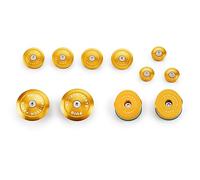Puig Tappi telaio in alluminio per BMW R1200 GS/Adventure/Exclusive/Rallye 17-18 Oro