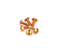 Puig 21763T Kit Viti anodizzate per Schermi Arancione