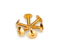 Puig 21765O Kit Viti anodizzate per Schermi Oro