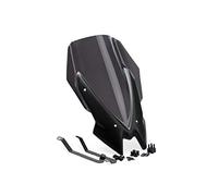 Puig 3865F Naked New Generation Touring Cupolino, Fumè Scuro