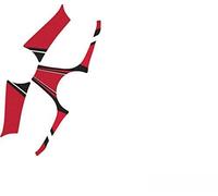 Puig 6985r Schermo per Shaft BMW F800S 07 - 10/F800GS 2008 - 2012, colore: rosso