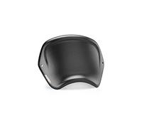Puig 9168C Piastra Frontale ABS Protezione aggiuntiva, Carbonio