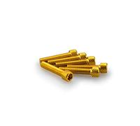 PUIG: blister 6 Viti allen M6 x 30 mm. oro