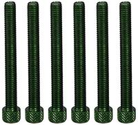 PUIG: blister 6 Viti allen M6 x 55 mm. verde