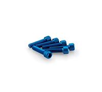 Puig: Blister 6 viti esagonali M6 x 25 mm. blu