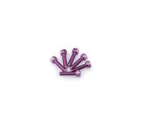 Puig: Blister 6 viti m5 x 20 mm. viola