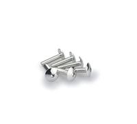 Puig: Blister 6 viti M6 x 25 mm leggermente. argento