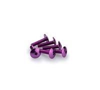 Puig: Blister 6 viti M6 x 25 mm leggermente. viola