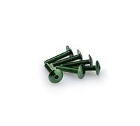 Puig: Blister 6 viti M6 x 30 mm leggermente. Verde