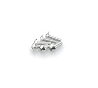 Puig: Blister 6 viti panciuto M5 x 20 mm. argento