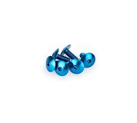 Puig: Blister 6 viti panciuto M6 x 15 mm. blu