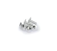 Puig: Blister 6 viti panciuto M6 x 20 mm. argento
