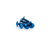 Puig: Blister 6 viti panciuto M6 x 20 mm. blu
