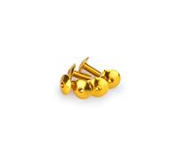 Puig Blister di 6 viti bombate, dimensioni: 5 x 25 mm oro
