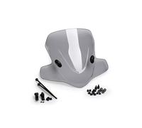 PUIG CUPOLINO SCOOTER CITY TOURING PER PIAGGIO SKIPPER LXT150 FUME CHIARO