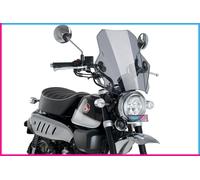 PUIG CUPOLINO UNIV. BAT PER DUCATI HYPERMOTARD 1100 S 10-12 FUME CHIARO