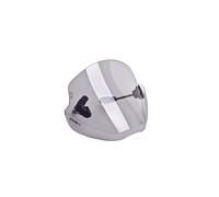 PUIG CUPOLINO UNIV. TREND PER BMW G310 R 16-23 FUME CHIARO