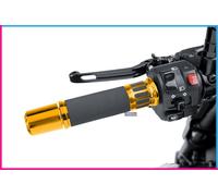 PUIG MANOPOLE RACING PER TRIUMPH STREET TRIPLE R 08-16 ORO-119MM