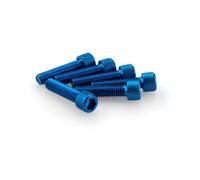 Puig Set Di Viti Allen M6x25mm 6 Unità