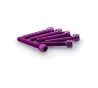 Puig Set Di Viti Allen M6x35mm 6 Unità