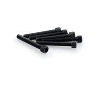 Puig Set Di Viti Allen M6x45mm 6 Unità