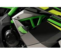 Puig R19 Protezioni motore