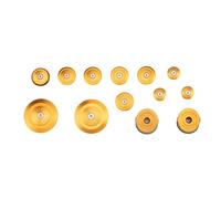 PUIG TAPPI TELAIO IN ALLUMINIO BMW R1250 R 18-20 ORO
