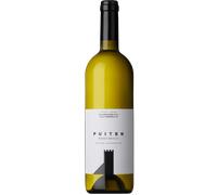 Pinot Grigio 'Puiten' 2024 - Cantina Colterenzio - Schreckbichl