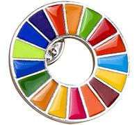 PULABO Spilla degli obiettivi di sviluppo sostenibile Spilla arcobaleno SDGs delle Nazioni Unite squisito