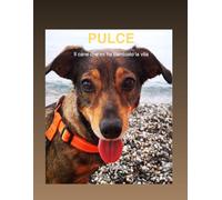 PULCE: QUATTRO ZAMPE PER RIMETTERMI AL MONDO, OGGI IL MIO SOLE DENTRO AL CUORE