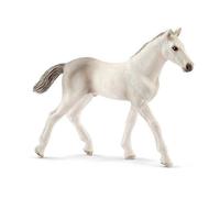 Puledro Holstein
