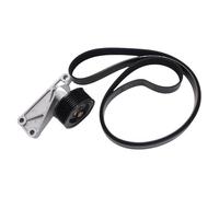 Pulegge Di Tensione 1Set Tenditore E Cintura Per Land Per Rover Per Discovery 2 TD5 1998-2003 2004 ERR6949 PQS101500 Parti Ricambio Motore Dell'auto Tendicinghia