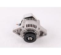 Puleggia 62mm ALTERNATORE 12V 40A ED0011573260-S per Kohler Lombardini