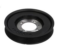 Puleggia a cinghia, albero motore SASIC 2156017 per ASTRA H (A04) 1.7 2004-