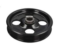 Puleggia a cinghia, pompa del servosterzo DORMAN DOR300-148 per NITRO 3.7 2007-