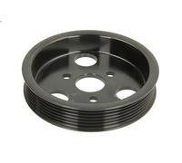 Puleggia a cinghia, pompa del servosterzo VM MOTORI per NITRO 2.8 2007-2012