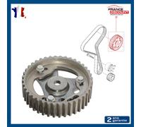 Puleggia Albero Camma Prevista Per Clio Scenic Kangoo Laguna Megane 7701478037