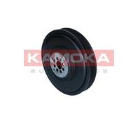 PULEGGIA ALBERO MOTORE 059 105 251 AD PER AUDI A6 C6 AVANT A4 B7 A5 Q7 A8 D3 VW