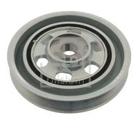 Ferdinand Bilstein Puleggia albero motore 100572 FEBI BILSTEIN per IVECO DAILY IV Autobus