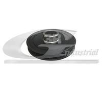 3RG 10119 Puleggia cinghia albero a gomiti Puleggia Albero Motore Puleggia albero motore Puleggia motore