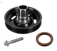 FEBI BILSTEIN 171924 Puleggia cinghia albero a gomiti