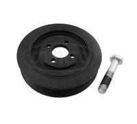 Puleggia albero motore 49418948 CORTECO per PEUGEOT CITROËN